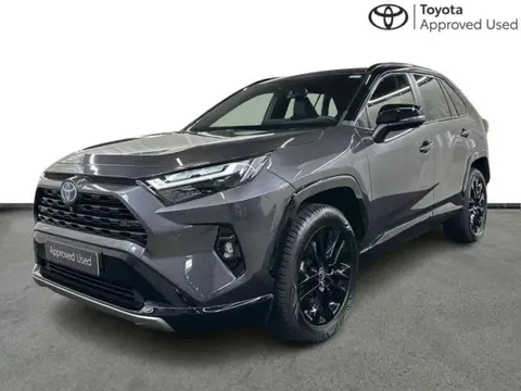 Used TOYOTA RAV4 Hybrid 2023 Ad 