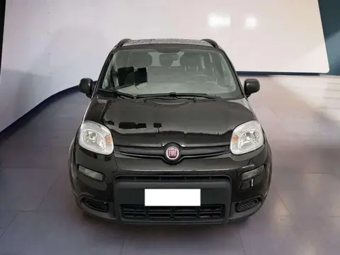 Annonce FIAT PANDA Hybride 2021 d'occasion 