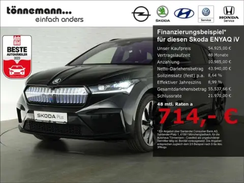 Used SKODA ENYAQ Electric 2023 Ad 