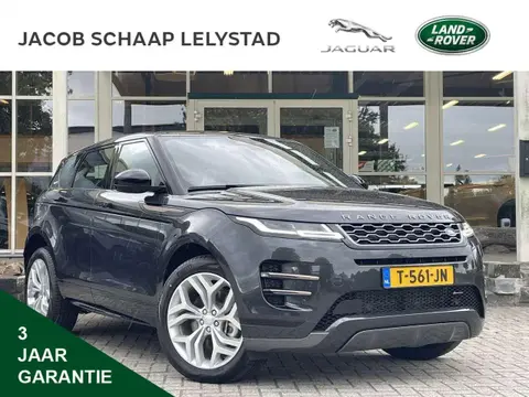 Annonce LAND ROVER RANGE ROVER EVOQUE Hybride 2023 d'occasion 