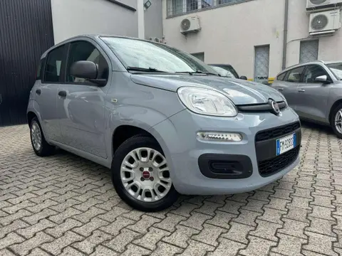 Annonce FIAT PANDA Essence 2018 d'occasion 