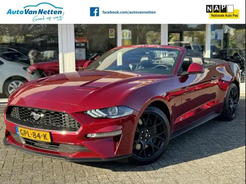 Annonce FORD MUSTANG Essence 2018 d'occasion 