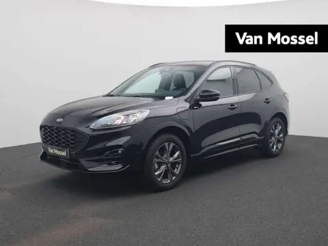 Annonce FORD KUGA Hybride 2023 d'occasion 