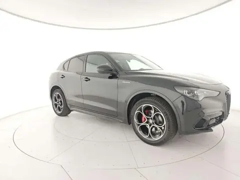 Annonce ALFA ROMEO STELVIO Diesel 2024 d'occasion 