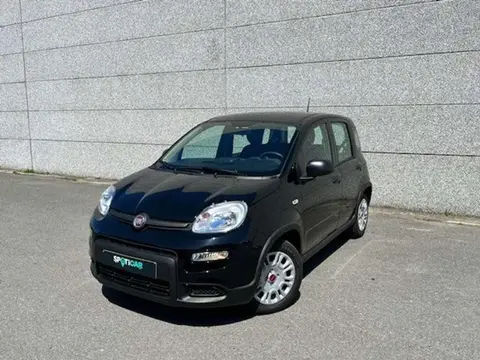 Used FIAT PANDA Hybrid 2024 Ad 