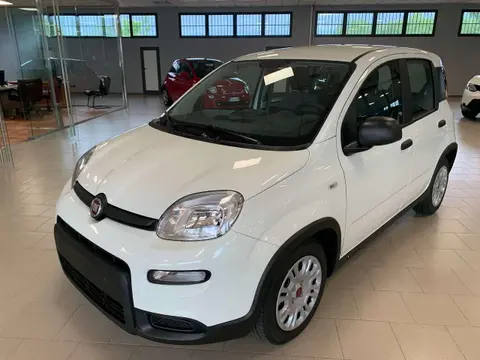 Annonce FIAT PANDA Hybride 2023 d'occasion 