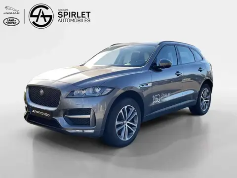 Used JAGUAR F-PACE Petrol 2020 Ad 