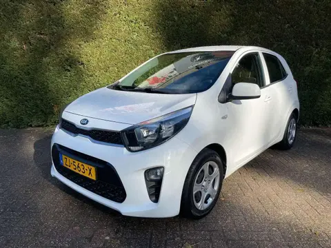 Annonce KIA PICANTO Essence 2019 d'occasion 