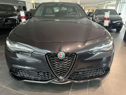 Used ALFA ROMEO GIULIA Petrol 2023 Ad 