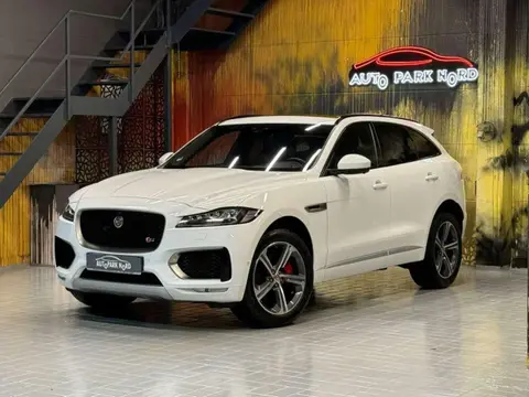 Used JAGUAR F-PACE Diesel 2019 Ad 