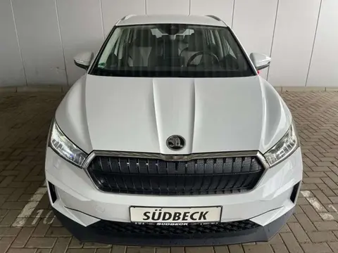 Used SKODA ENYAQ Electric 2022 Ad 