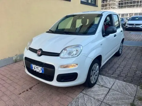 Annonce FIAT PANDA Essence 2019 d'occasion 