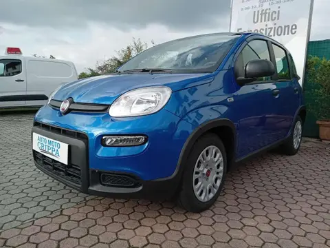 Used FIAT PANDA Hybrid 2024 Ad Italy