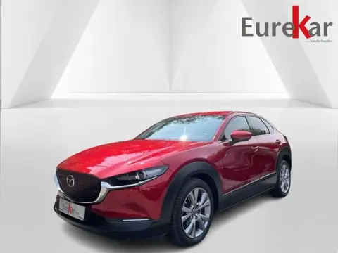 Annonce MAZDA CX-30 Hybride 2019 d'occasion 