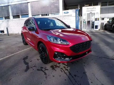 Used FORD KUGA Hybrid 2023 Ad 