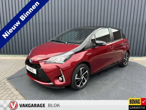 Used TOYOTA YARIS Hybrid 2019 Ad 