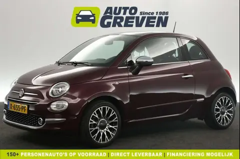 Used FIAT 500 Petrol 2020 Ad 