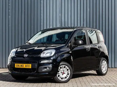 Used FIAT PANDA Petrol 2016 Ad 