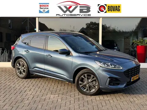 Annonce FORD KUGA Hybride 2020 d'occasion 