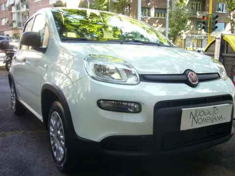 Used FIAT PANDA LPG 2024 Ad 