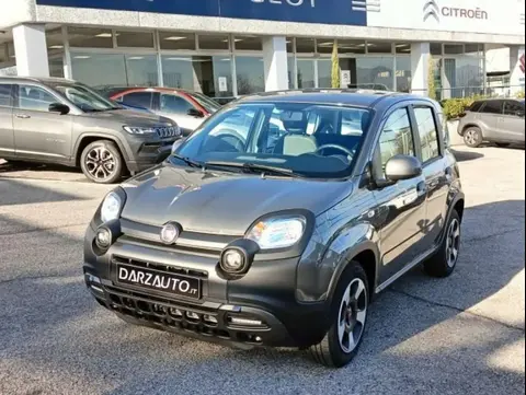 Used FIAT PANDA Hybrid 2023 Ad 