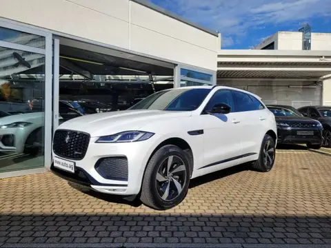 Used JAGUAR F-PACE Hybrid 2023 Ad 