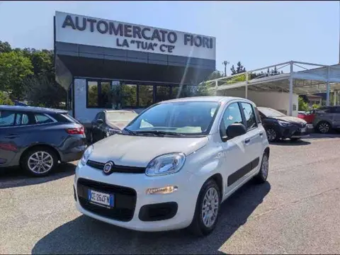 Used FIAT PANDA Hybrid 2021 Ad 