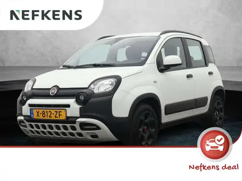 Used FIAT PANDA Hybrid 2023 Ad 