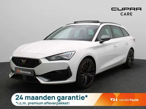 Used CUPRA LEON Hybrid 2023 Ad 