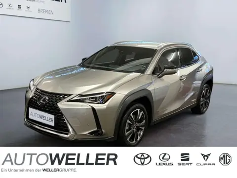 Used LEXUS UX Hybrid 2022 Ad 