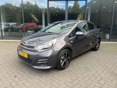 Used KIA RIO Petrol 2016 Ad 