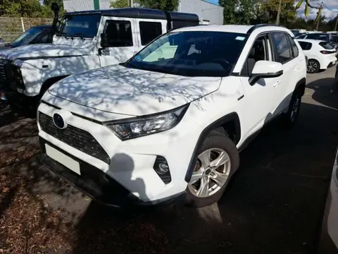 Used TOYOTA RAV4 Hybrid 2020 Ad 