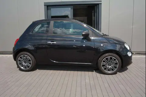 Used FIAT 500 Petrol 2019 Ad 