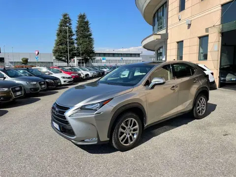 Used LEXUS NX Hybrid 2016 Ad 