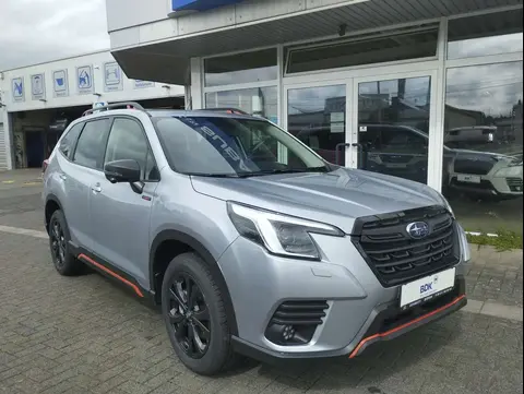 Used SUBARU FORESTER Hybrid 2024 Ad 