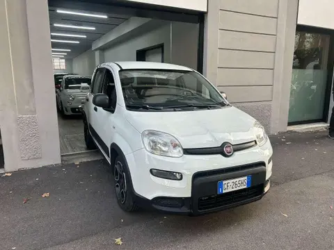 Used FIAT PANDA Hybrid 2021 Ad 