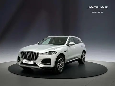 Annonce JAGUAR F-PACE Hybride 2022 d'occasion 