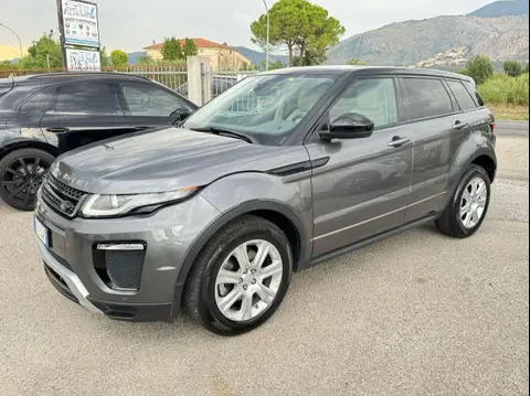 Used LAND ROVER RANGE ROVER EVOQUE Diesel 2019 Ad 