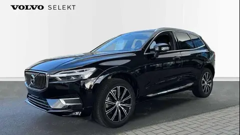 Annonce VOLVO XC60 Essence 2019 d'occasion 