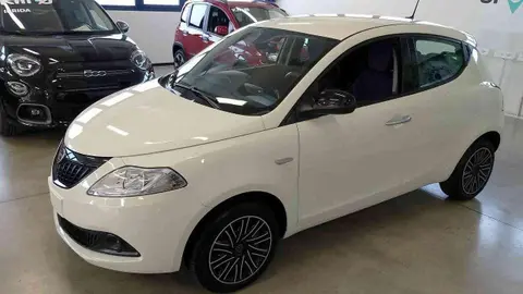 Used LANCIA YPSILON Hybrid 2024 Ad 