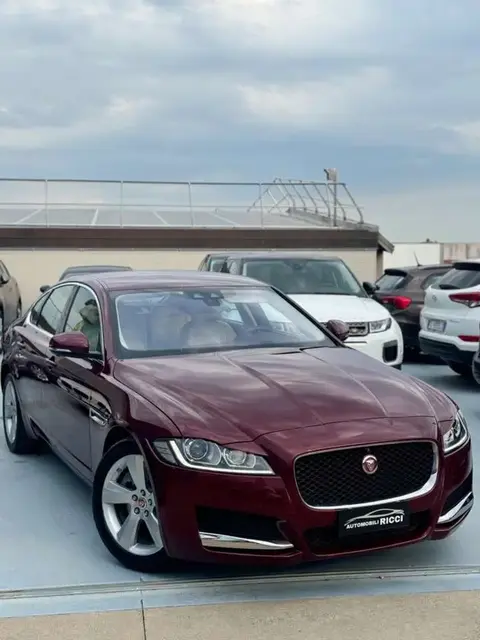 Annonce JAGUAR XF Diesel 2016 d'occasion 