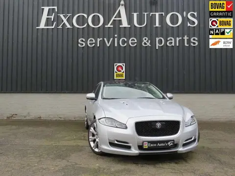 Used JAGUAR XJ Petrol 2019 Ad 