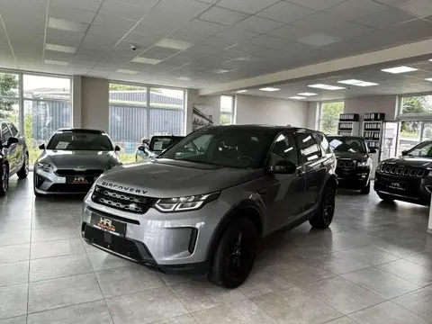 Used LAND ROVER DISCOVERY Hybrid 2021 Ad 