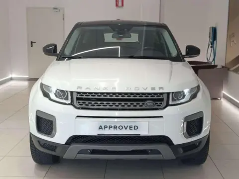 Annonce LAND ROVER RANGE ROVER EVOQUE Diesel 2017 d'occasion 