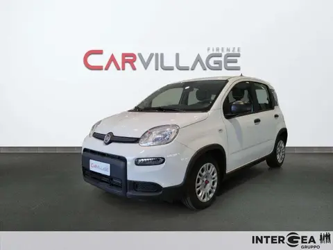 Used FIAT PANDA Hybrid 2023 Ad 