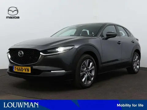 Used MAZDA CX-30 Hybrid 2023 Ad 