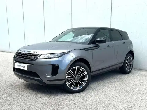 Used LAND ROVER RANGE ROVER EVOQUE Hybrid 2024 Ad 