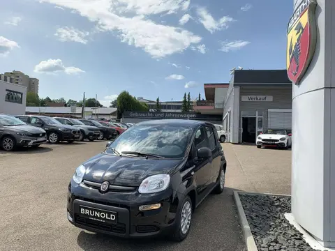 Used FIAT PANDA Petrol 2024 Ad 