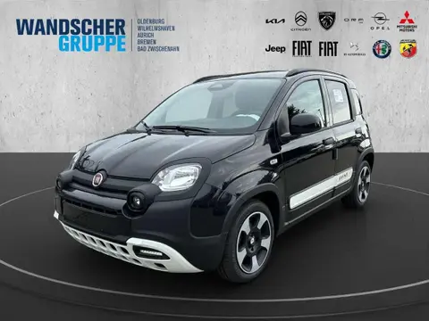 Used FIAT PANDA Hybrid 2024 Ad 