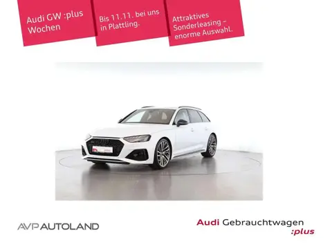 Used AUDI RS4 Petrol 2023 Ad 